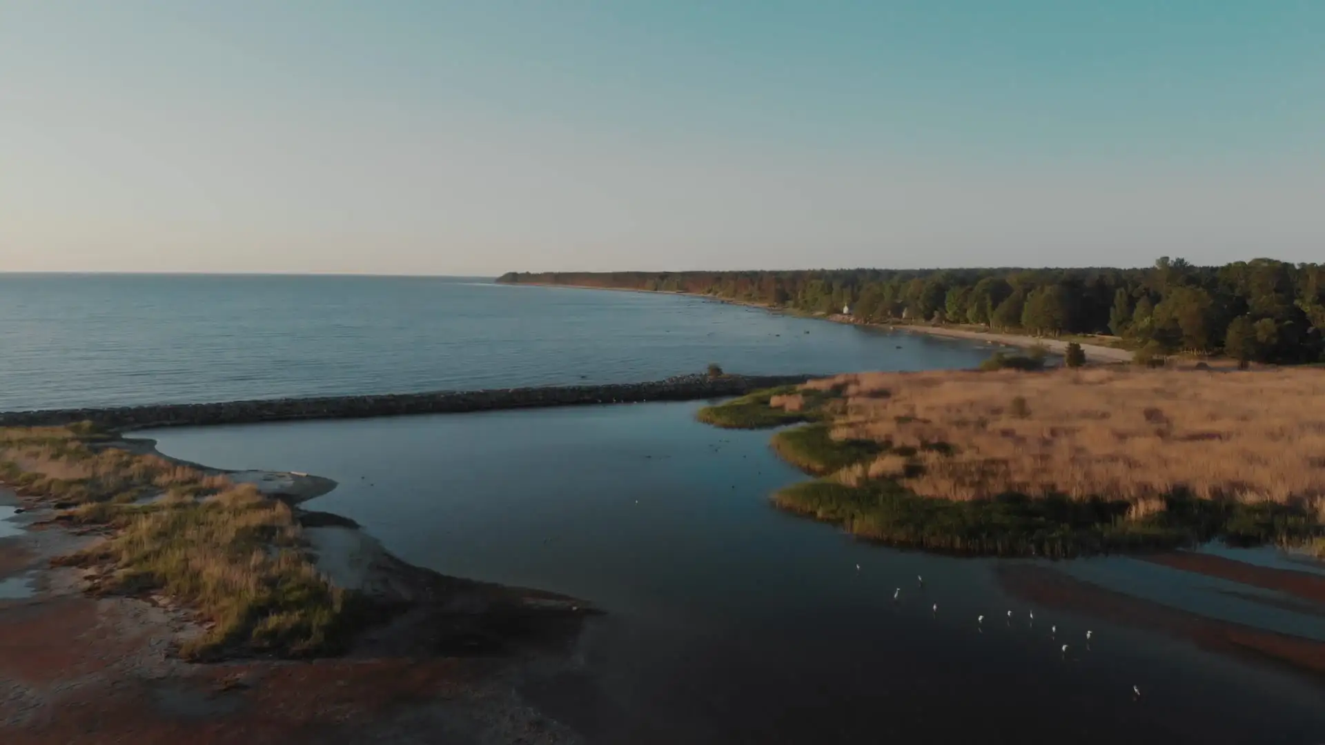 Rivière aménagée avec ouvrages fluviaux : berges, digue et bassin de rétention